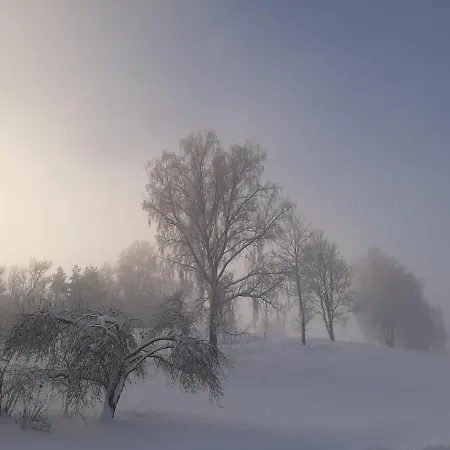 Otsa Puhkemaja Dom wakacyjny