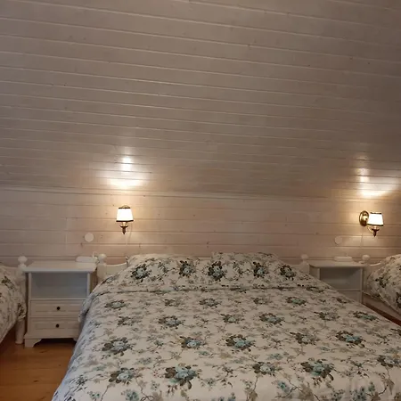 Otsa Puhkemaja Raudsepa