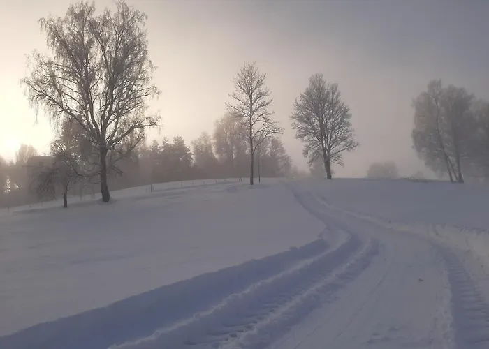 Otsa Puhkemaja Casa de Férias
