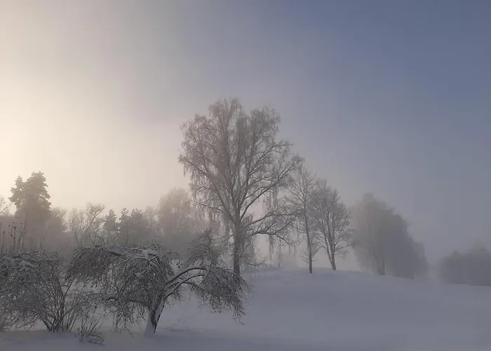 Otsa Puhkemaja Dom wakacyjny