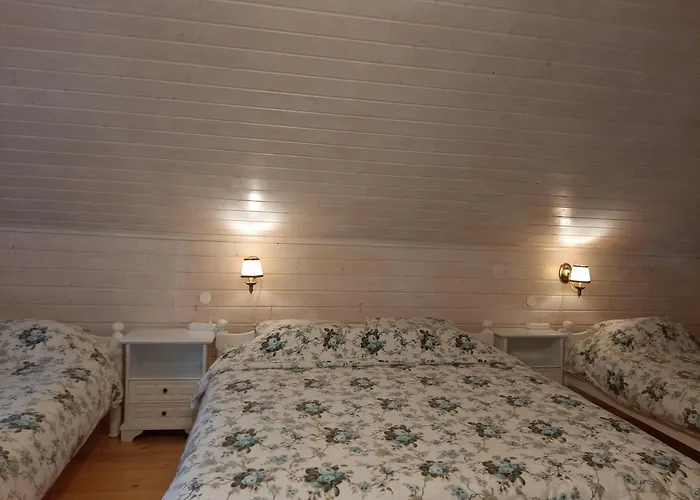 Otsa Puhkemaja Raudsepa